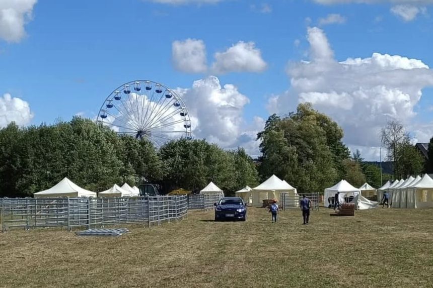 Pavillons und Riesenrad auf dem Wiesengelände, Usinger Laurentius Markt 2024